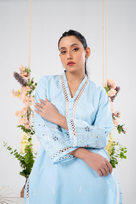 Lawn Embroidered 2PC Dress - LR20