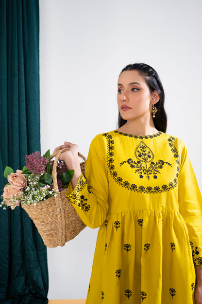 Lawn Embroidered 2PC Dress - LR10