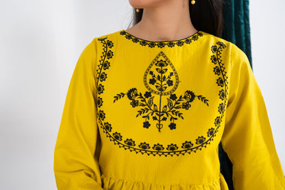 Lawn Embroidered 2PC Dress - LR10